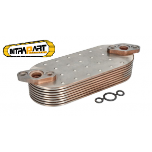Termolfot motor Perkins YD80971, 2486A993